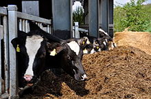 Consiglio Regionale del Lazio – Commissioni – VIII Commissione – Agricoltura, ambiente – Notizie – www.consiglio.regione.lazio.it