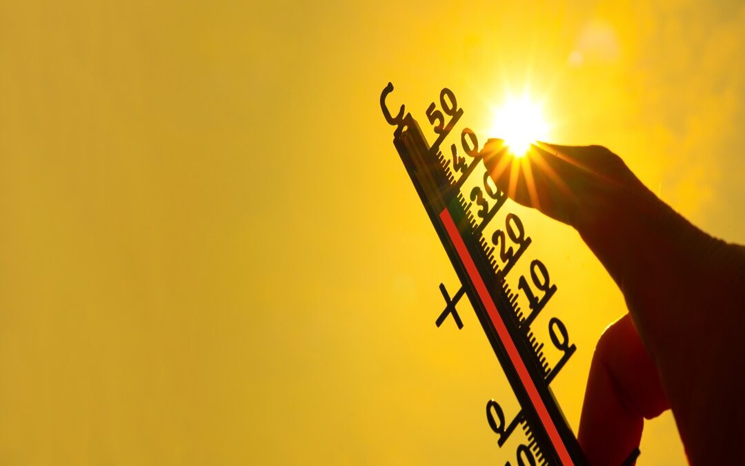 Caldo in Lombardia, richieste aumentate, ma il sistema è pronto – www.lombardianotizie.online