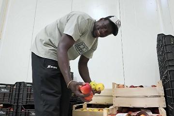 Progetto PUOI Plus: dall’accoglienza all’autonomia – www.lavoro.gov.it