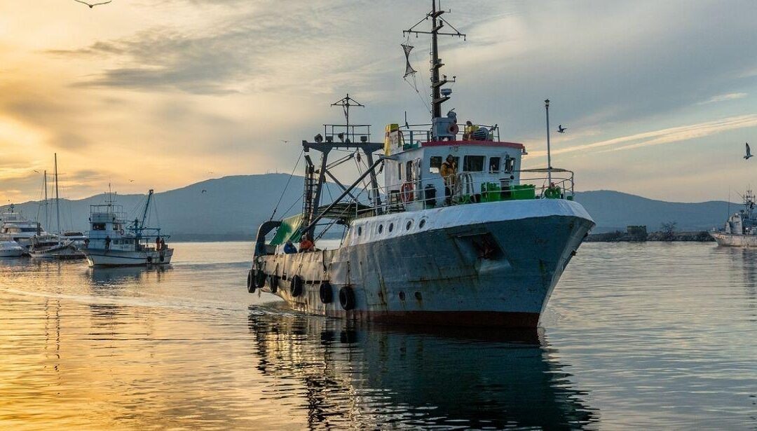 Pesca e affari marittimi, manifestazioni di interesse per l’individuazione di buone pratiche – www.lazioeuropa.it