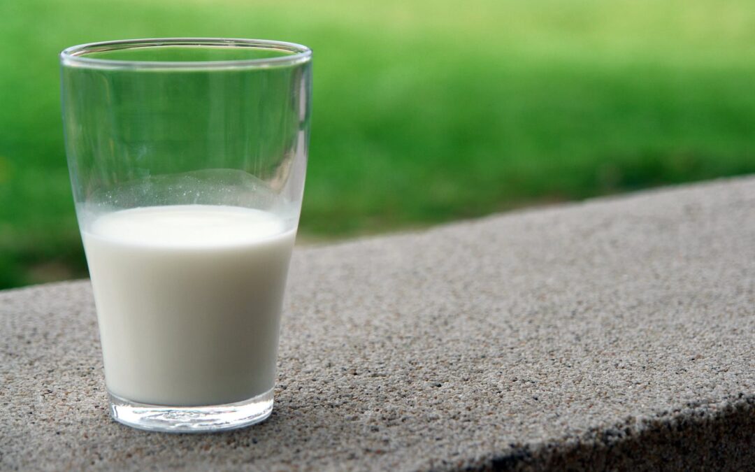 Misure urgenti a favore delle aziende agricole di produzione di latte bovino (2026) – www.lazioeuropa.it