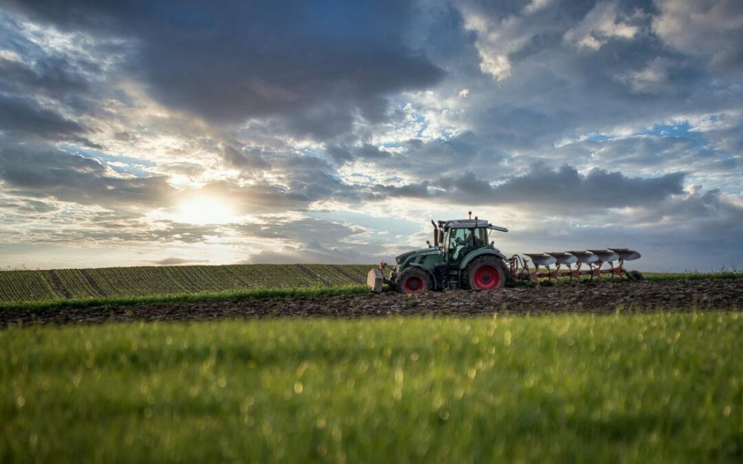 Sostegno a imprese agricole per il pagamento dei premi assicurativi per le produzioni vegetali – www.lazioeuropa.it