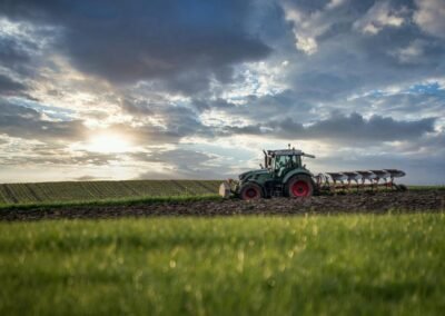 Sostegno a imprese agricole per il pagamento dei premi assicurativi per le produzioni vegetali – www.lazioeuropa.it