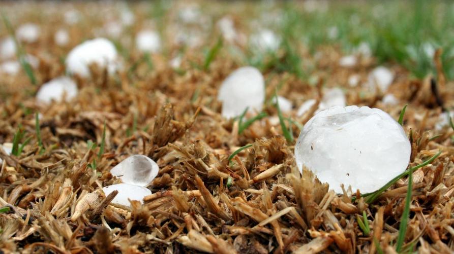 Maltempo in agricoltura, online i moduli per la ricognizione dei danni
 – www.regione.piemonte.it