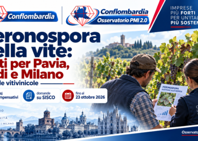 Peronospora della vite: aiuti compensativi per aziende di Pavia, Lodi e Milano