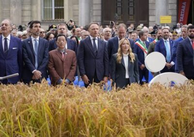 Risò, a Vercelli dall'11 al 13 settembre il confronto internazionale sul futuro del riso europeo. Lollobrigida: necessario difendere cultura del riso – www.masaf.gov.it