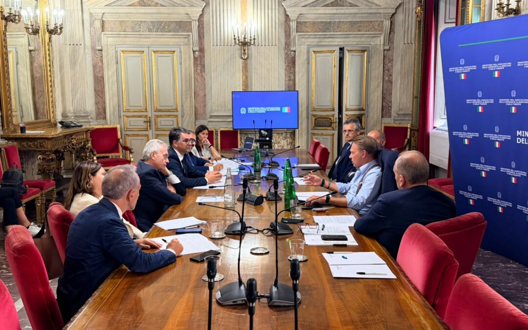 Olio, Lollobrigida: al fianco dei territori per emergenze e rilancio strutturale – www.masaf.gov.it