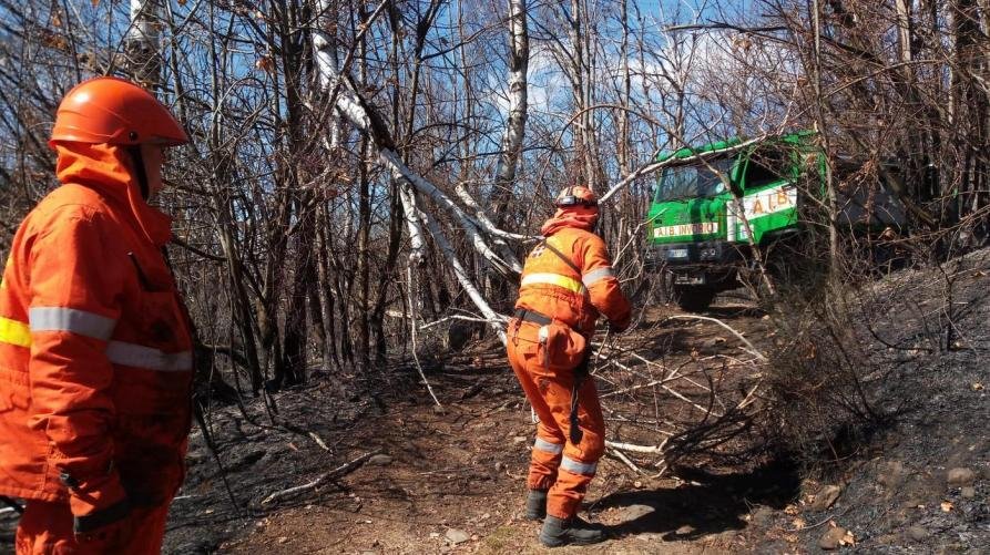 Incendi boschivi, revocato lo stato di massima pericolosità
 – www.regione.piemonte.it